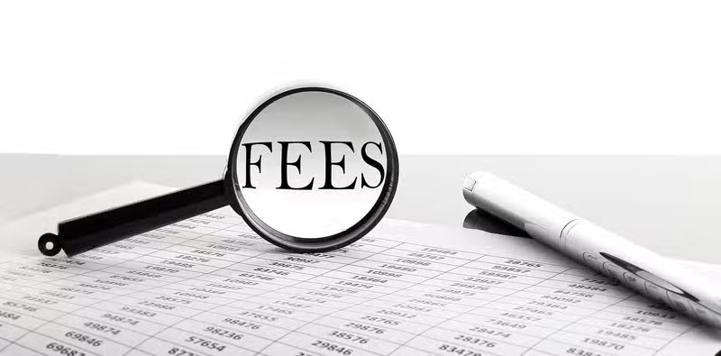 Magnifying glass with the word FEES